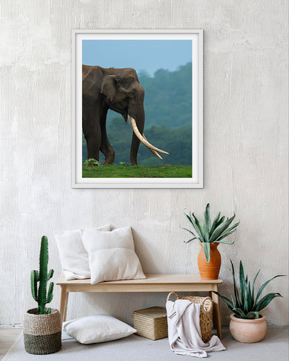 Monarch – Elephant photo frame Wall Art for Interior  Elegance