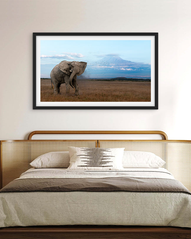 The mighty tusker stands in Kilimanjaro’s beauty -premium paper