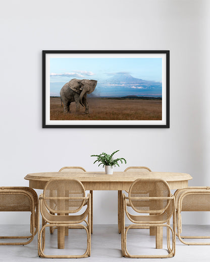 The mighty tusker stands in Kilimanjaro’s beauty -premium paper