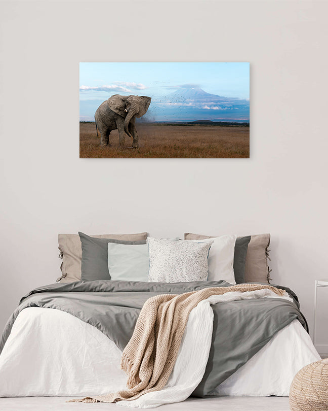 The mighty tusker stands in  Kilimanjaro’s beauty - canvas