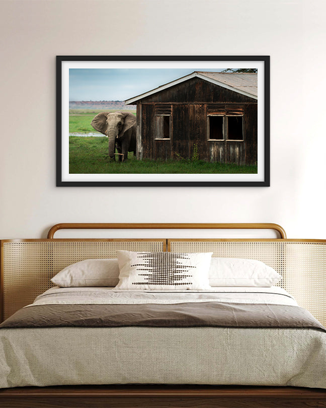 Elephant Encounter – Nature at Your Doorstep