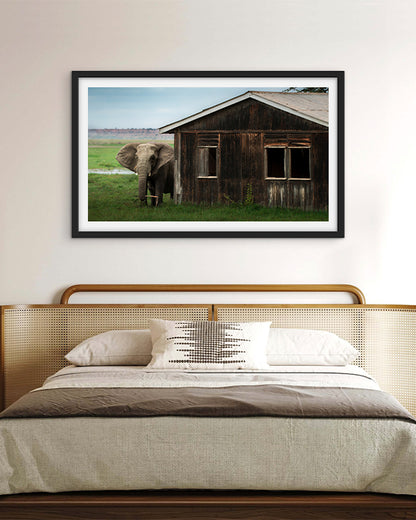 Elephant Encounter – Nature at Your Doorstep