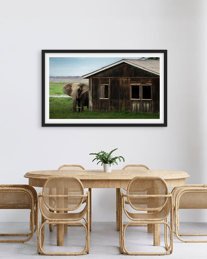 Elephant Encounter – Nature at Your Doorstep