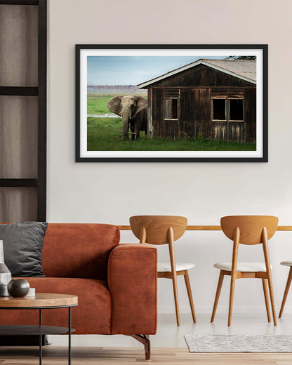 Elephant Encounter – Nature at Your Doorstep