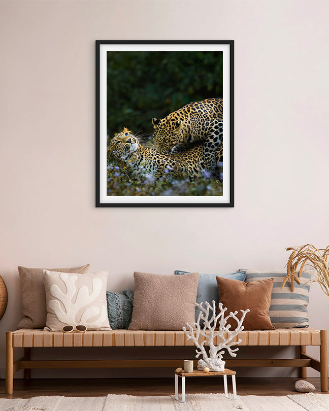 Leopard love India - Premium Paper