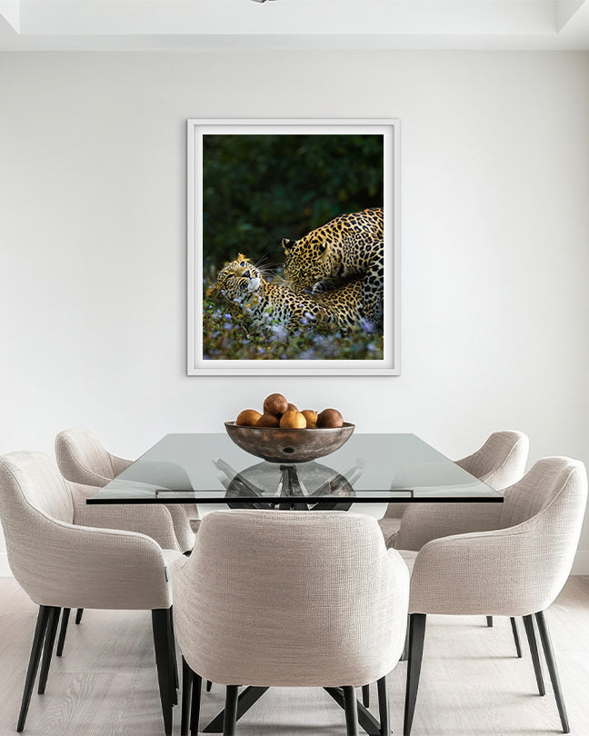 Leopard love India - Premium Paper
