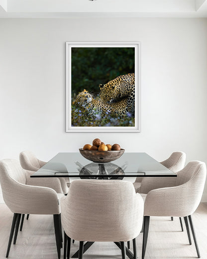 Leopard love India - Premium Paper
