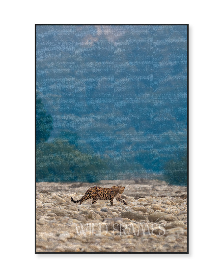 Solitude – Leopard Canvas Wall Art for Earthy  Interiors