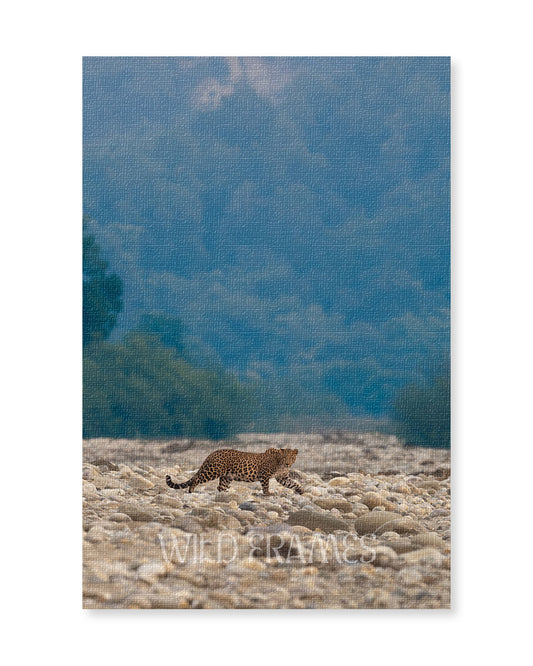 Solitude – Leopard Canvas Wall Art for Earthy  Interiors