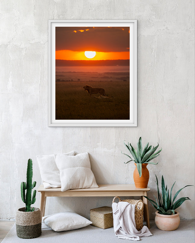 Sunset Sovereignty – Eco-Luxury Wildlife  premium paper wall Frame