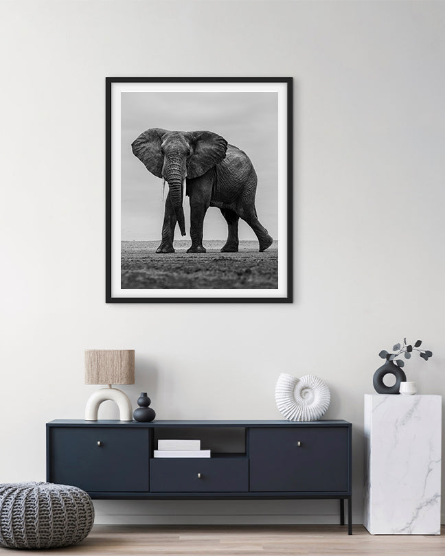 Elephant Black and White - Premium Paper