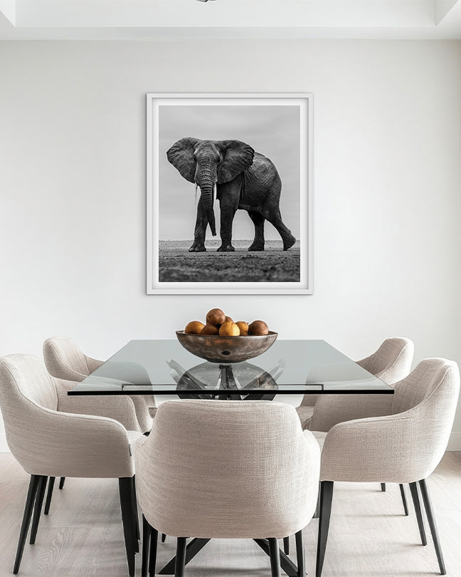 Elephant Black and White - Premium Paper