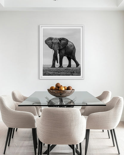 Elephant Black and White - Premium Paper