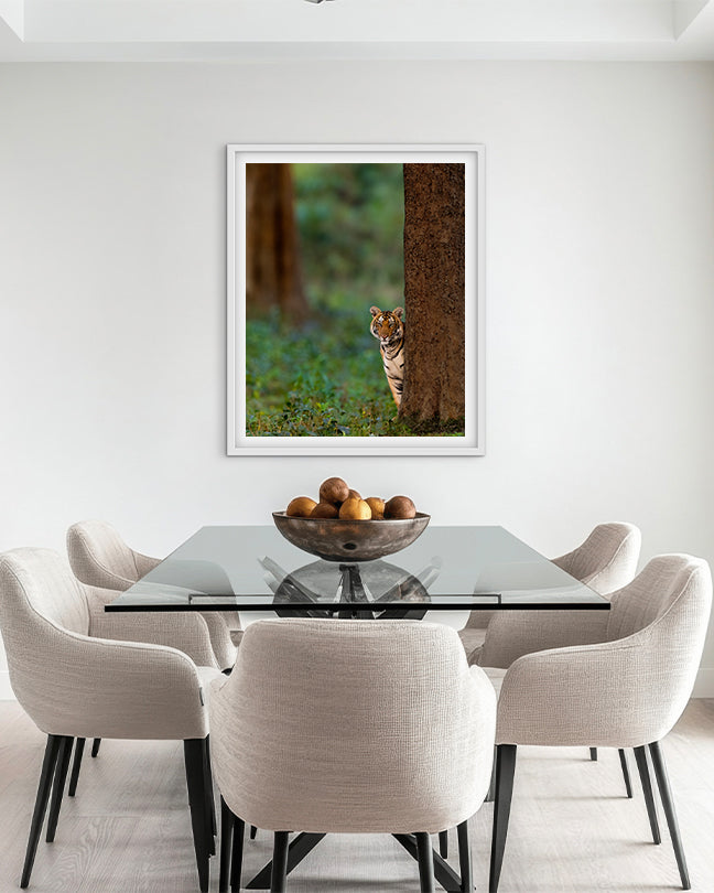 Tiger Cub Looking Like Shammi India - Premium Paper