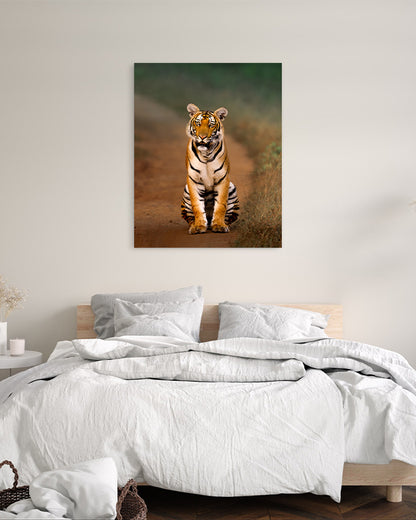 Royal Pause – A Tiger’s Watchful Moment on a  Jungle Path-canvas wall art
