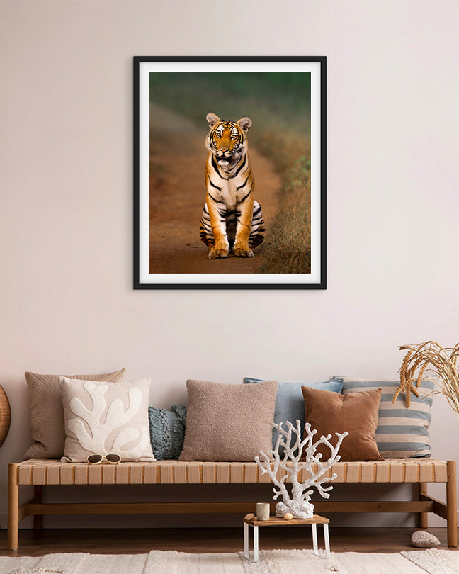 Royal Pause – A Tiger’s Watchful Moment on a  Jungle Path - Premium Paper