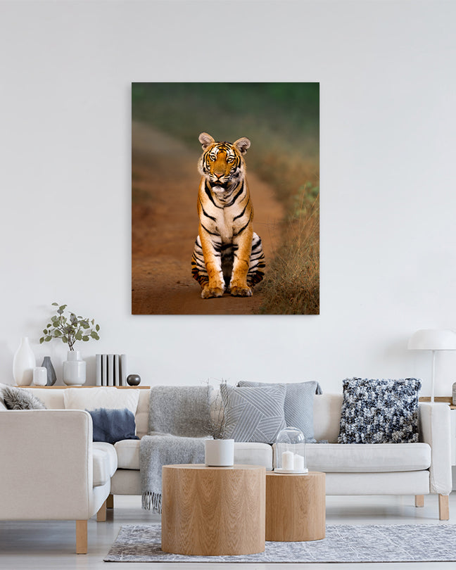 Royal Pause – A Tiger’s Watchful Moment on a  Jungle Path-canvas wall art