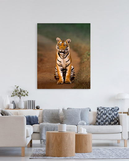 Royal Pause – A Tiger’s Watchful Moment on a  Jungle Path-canvas wall art