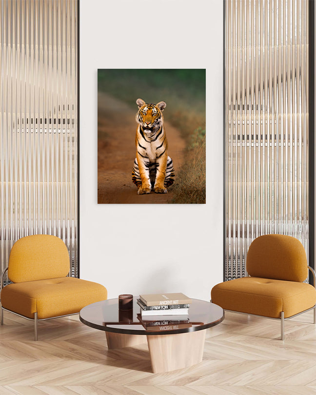 Royal Pause – A Tiger’s Watchful Moment on a  Jungle Path-canvas wall art