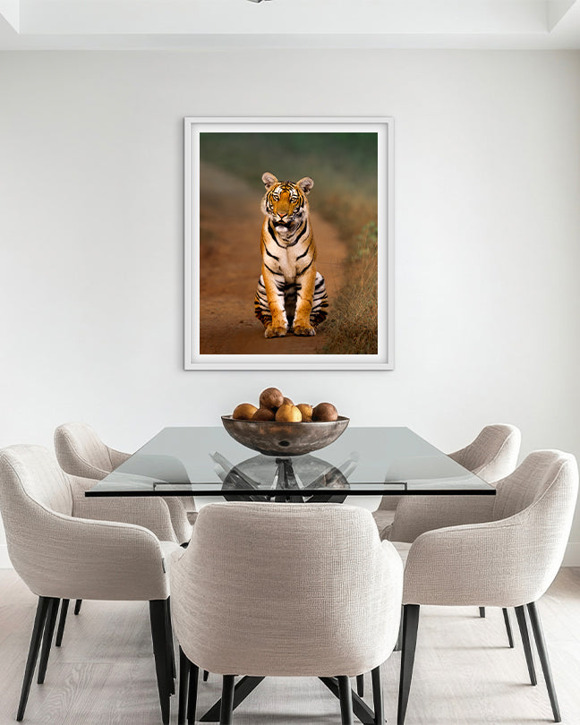 Royal Pause – A Tiger’s Watchful Moment on a  Jungle Path - Premium Paper