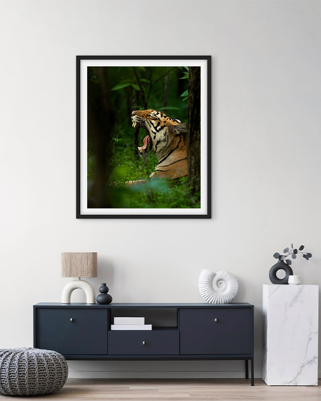 Reign – Tiger Canvas Wall Art for Bold Interior  Spaces