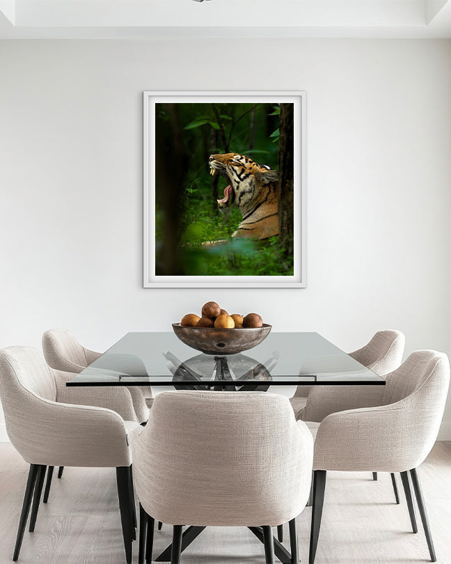 Reign – Tiger Canvas Wall Art for Bold Interior  Spaces